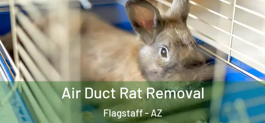 Air Duct Rat Removal Flagstaff - AZ