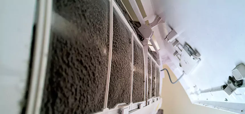 Preventive Air Duct Bacteria Removal in Flagstaff