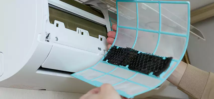 Gentle Ductwork Odor-Control Pet Dander Duct Cleaning in Flagstaff, AZ