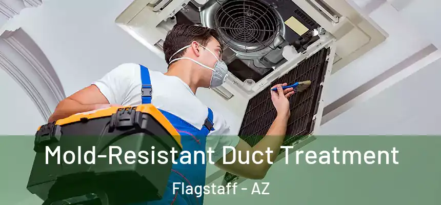  Mold-Resistant Duct Treatment Flagstaff - AZ