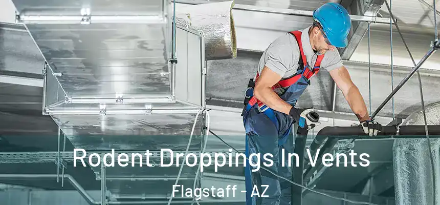 Rodent Droppings In Vents Flagstaff - AZ