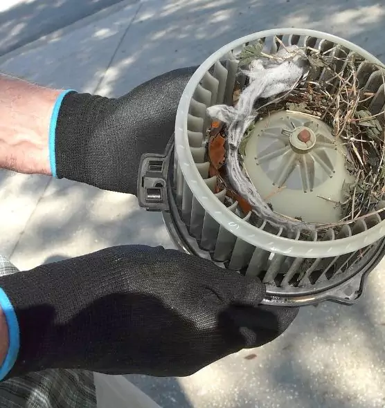 About Air Duct Rat Removal in Flagstaff, AZ