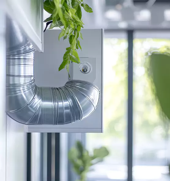 Professional Eco-Safe Dryer Vent Cleaning in Flagstaff, AZ