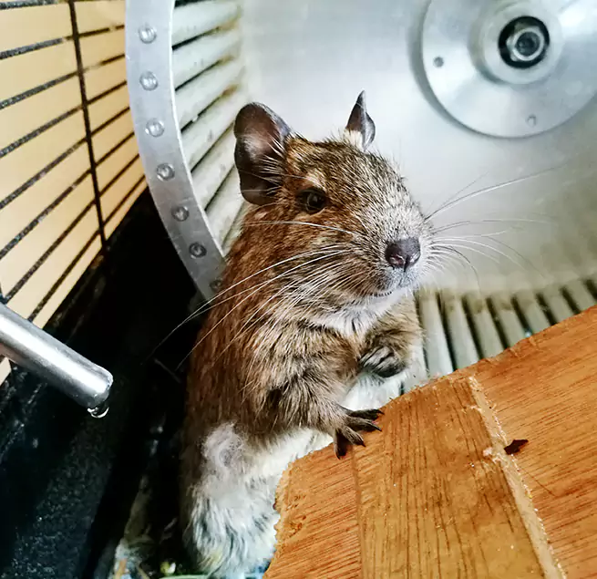 Why Homeowners & Businesses Trust Us Flagstaff, AZ